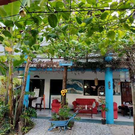 Cabinas Del Mar Sámara Dış mekan fotoğraf