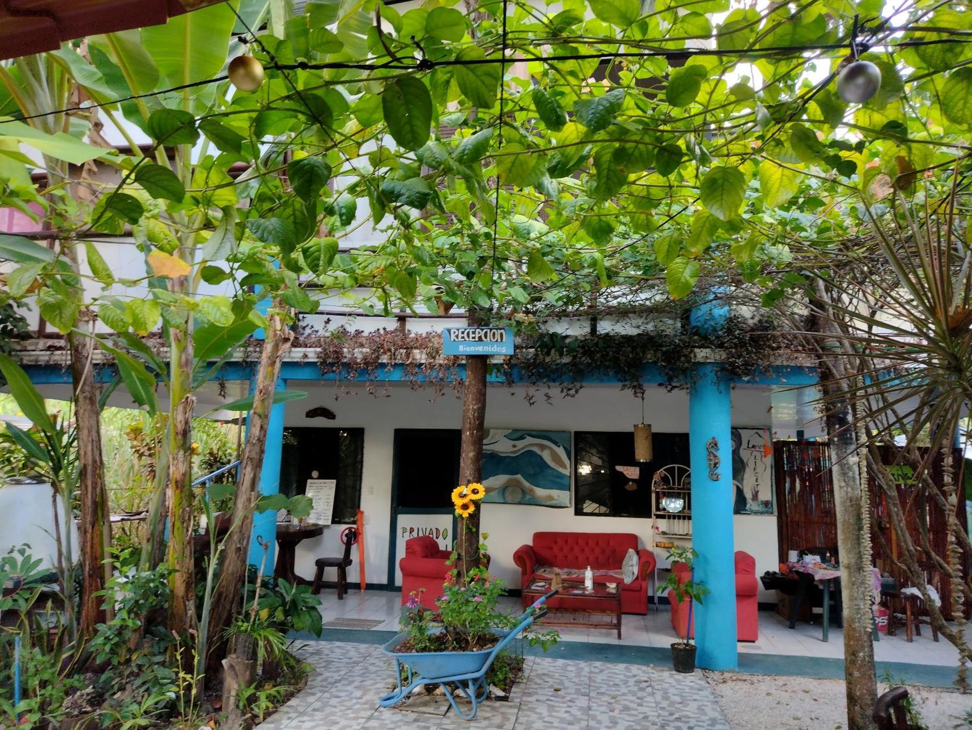Cabinas Del Mar Sámara Dış mekan fotoğraf