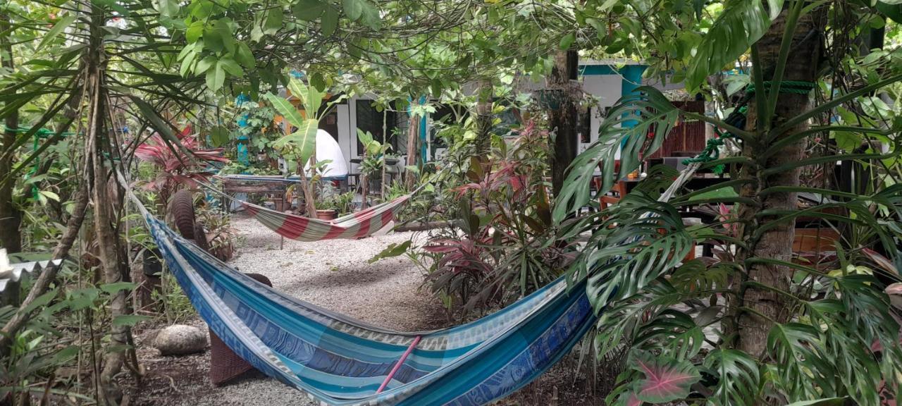 Cabinas Del Mar Sámara Dış mekan fotoğraf
