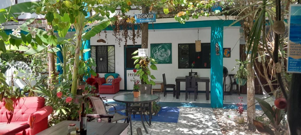 Cabinas Del Mar Sámara Dış mekan fotoğraf