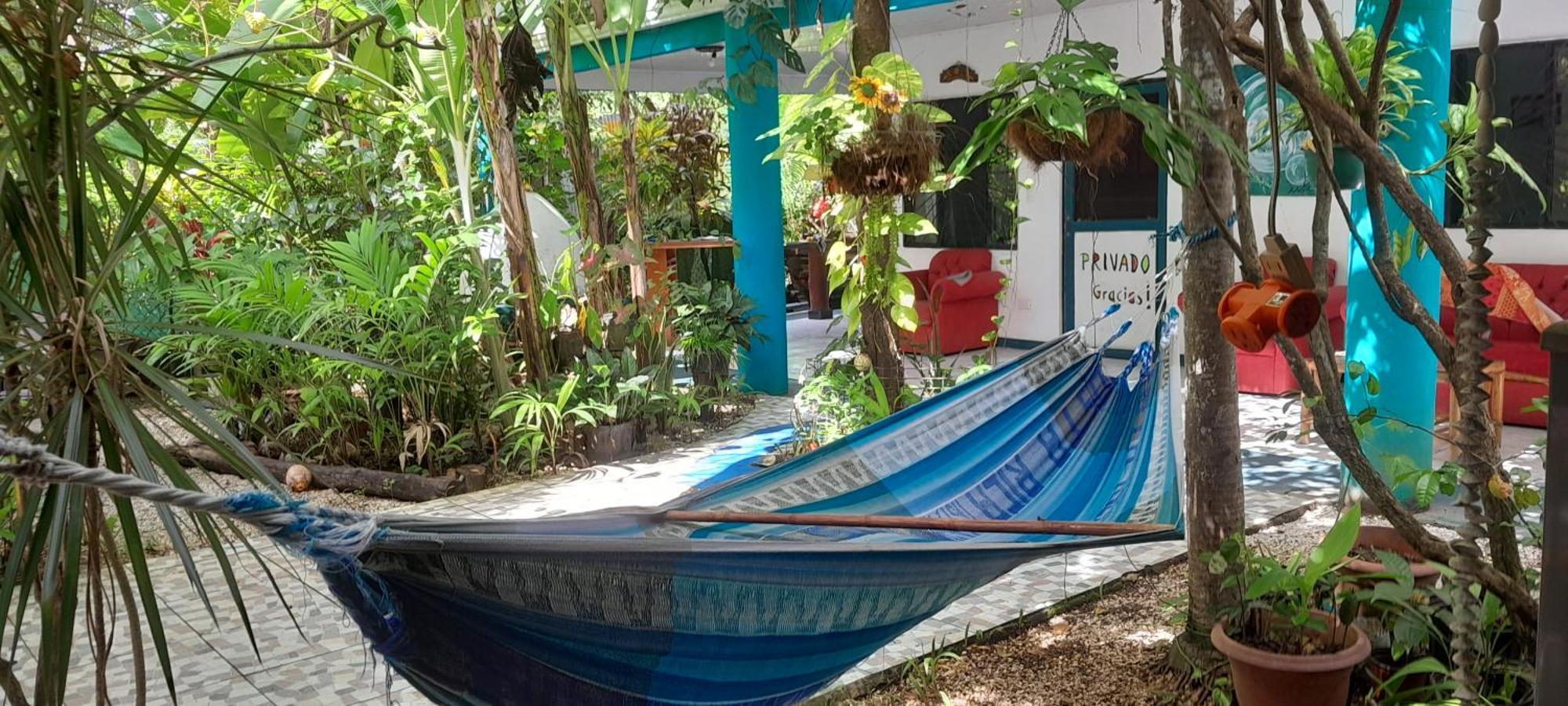 Cabinas Del Mar Sámara Dış mekan fotoğraf