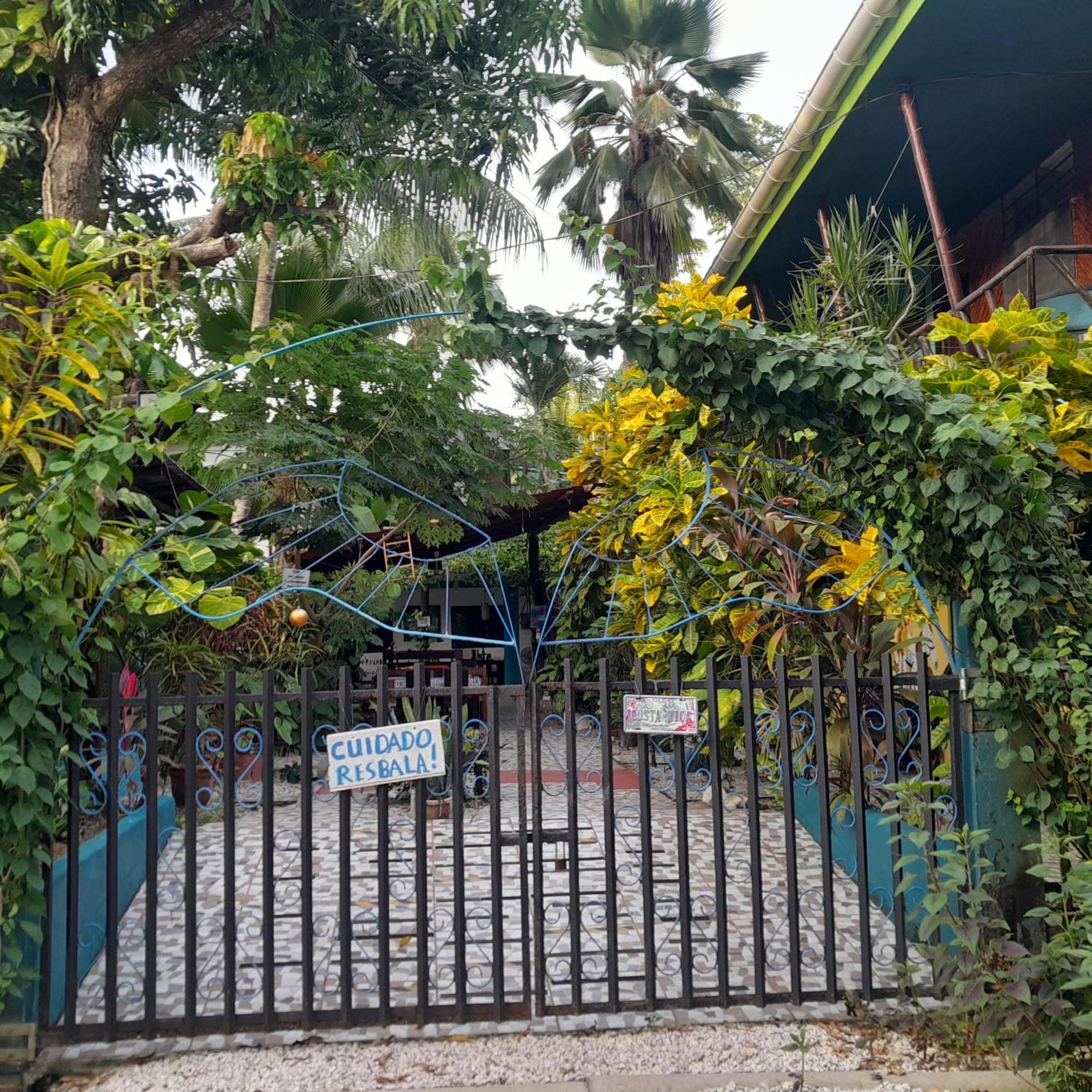 Cabinas Del Mar Sámara Dış mekan fotoğraf