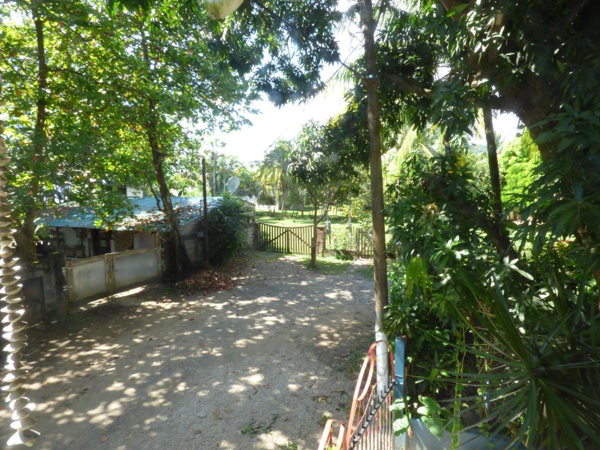 Cabinas Del Mar Sámara Dış mekan fotoğraf